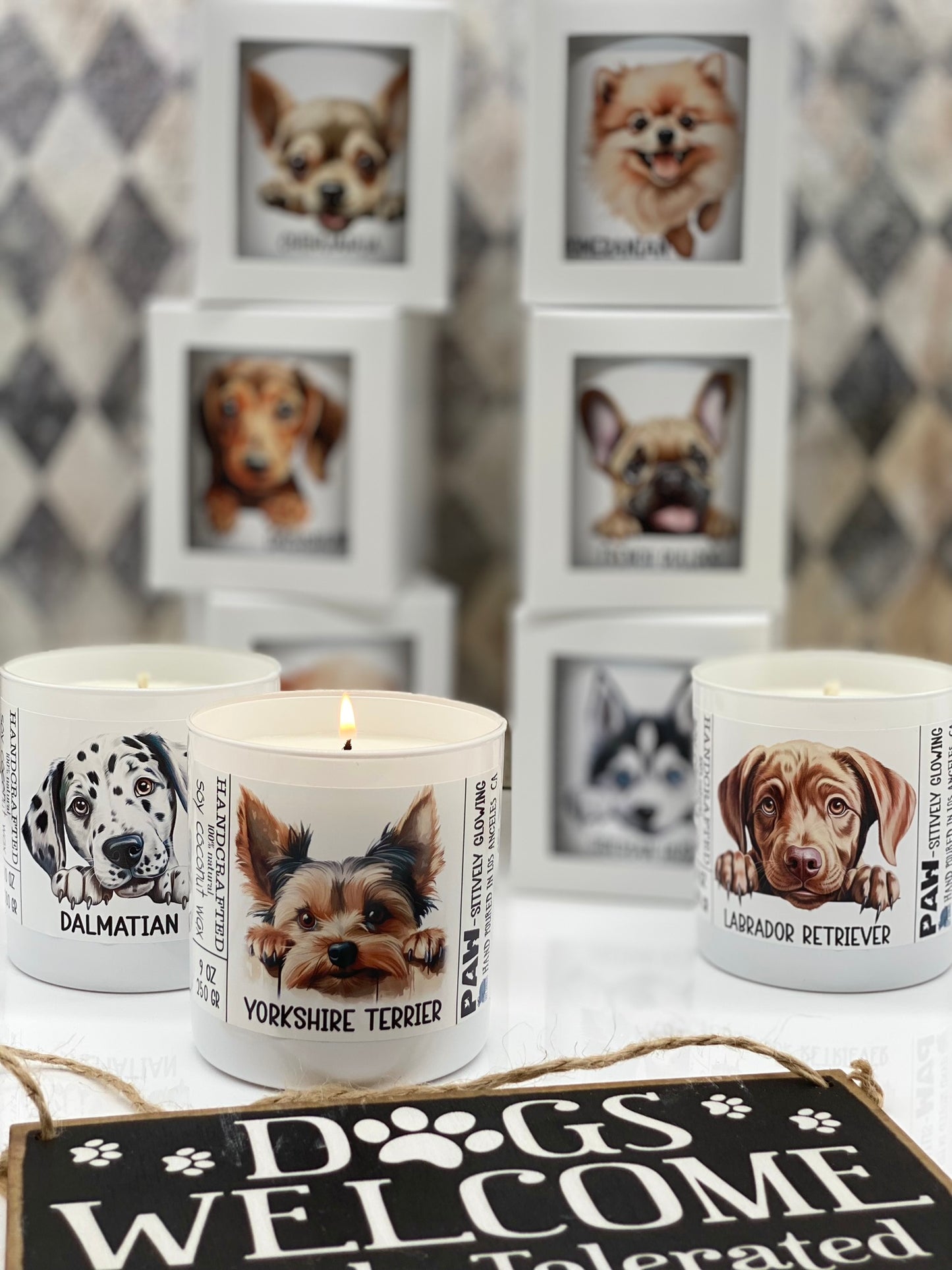 Edition #2, Candle, Coconut Soy wax candle, Funny Dogs, Dogs Lover, I love my Dog, Pets, Dogs Breeds, Paw-sitively Glowing, 11 breeds