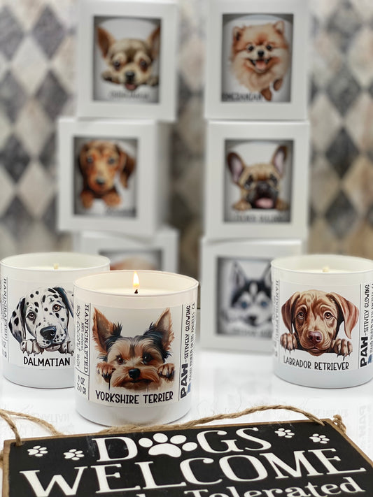 Edition #5, Candle, Coconut Soy wax candle, Funny Dogs, Dogs Lover, I love my Dog, Pets, Dogs Breeds, Paw-sitively Glowing, 11 breeds