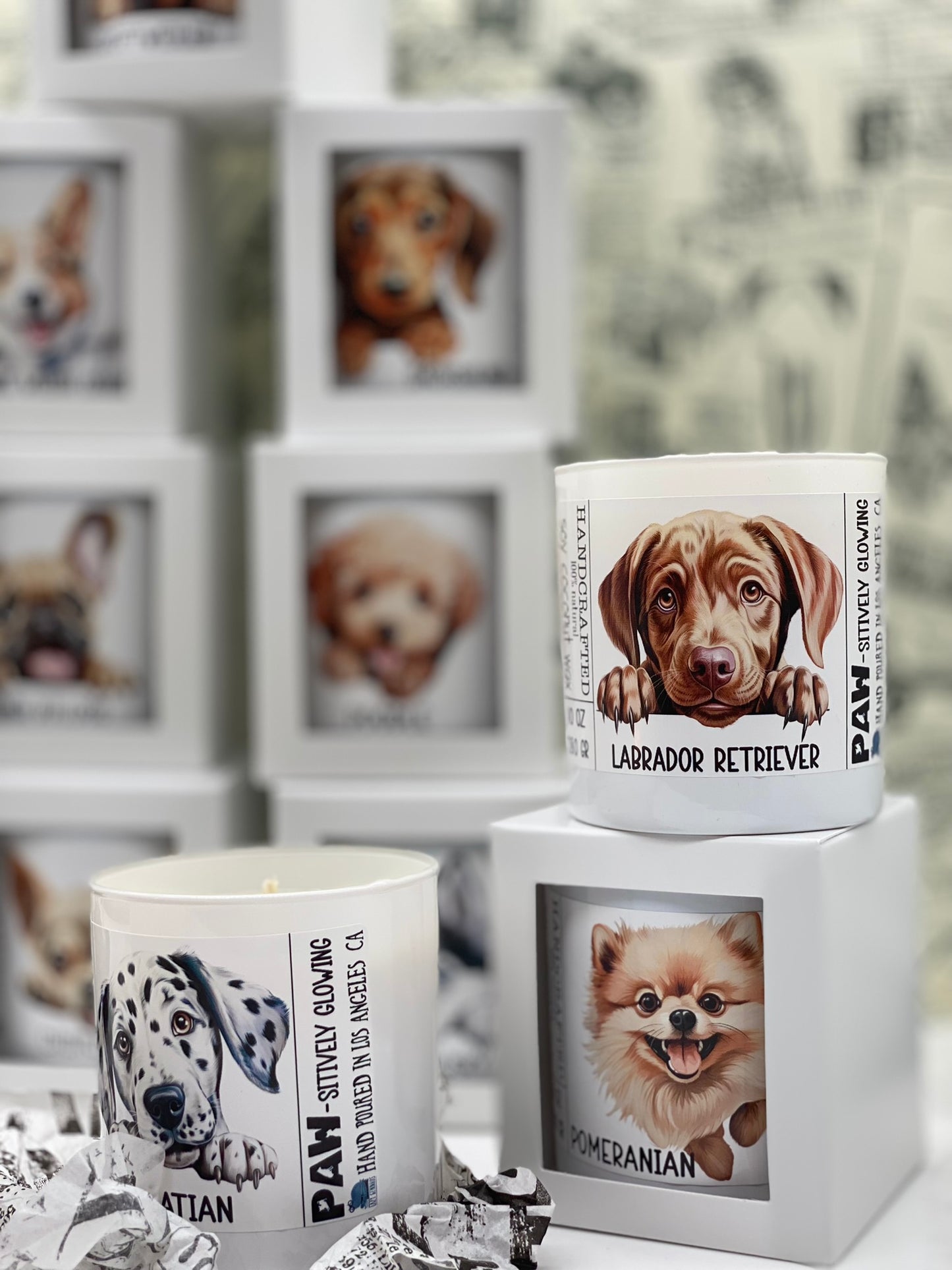 Edition #2, Candle, Coconut Soy wax candle, Funny Dogs, Dogs Lover, I love my Dog, Pets, Dogs Breeds, Paw-sitively Glowing, 11 breeds