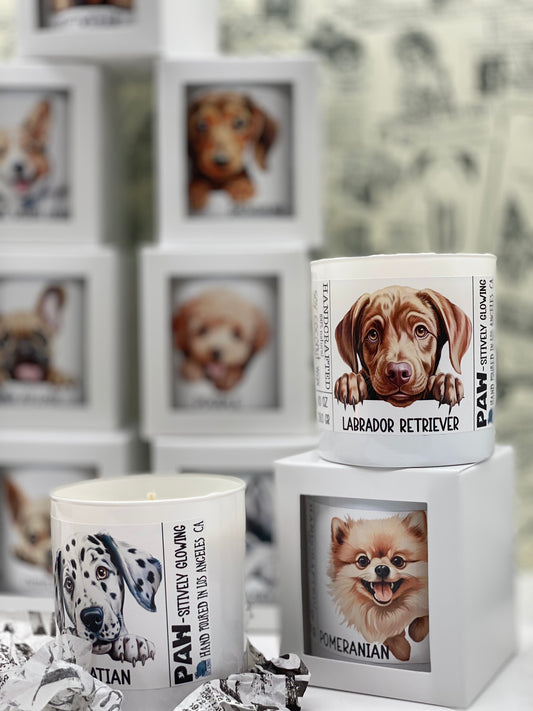 Edition #6, Candle, Coconut Soy wax candle, Funny Dogs, Dogs Lover, I love my Dog, Pets, Dogs Breeds, Paw-sitively Glowing, 11 breeds