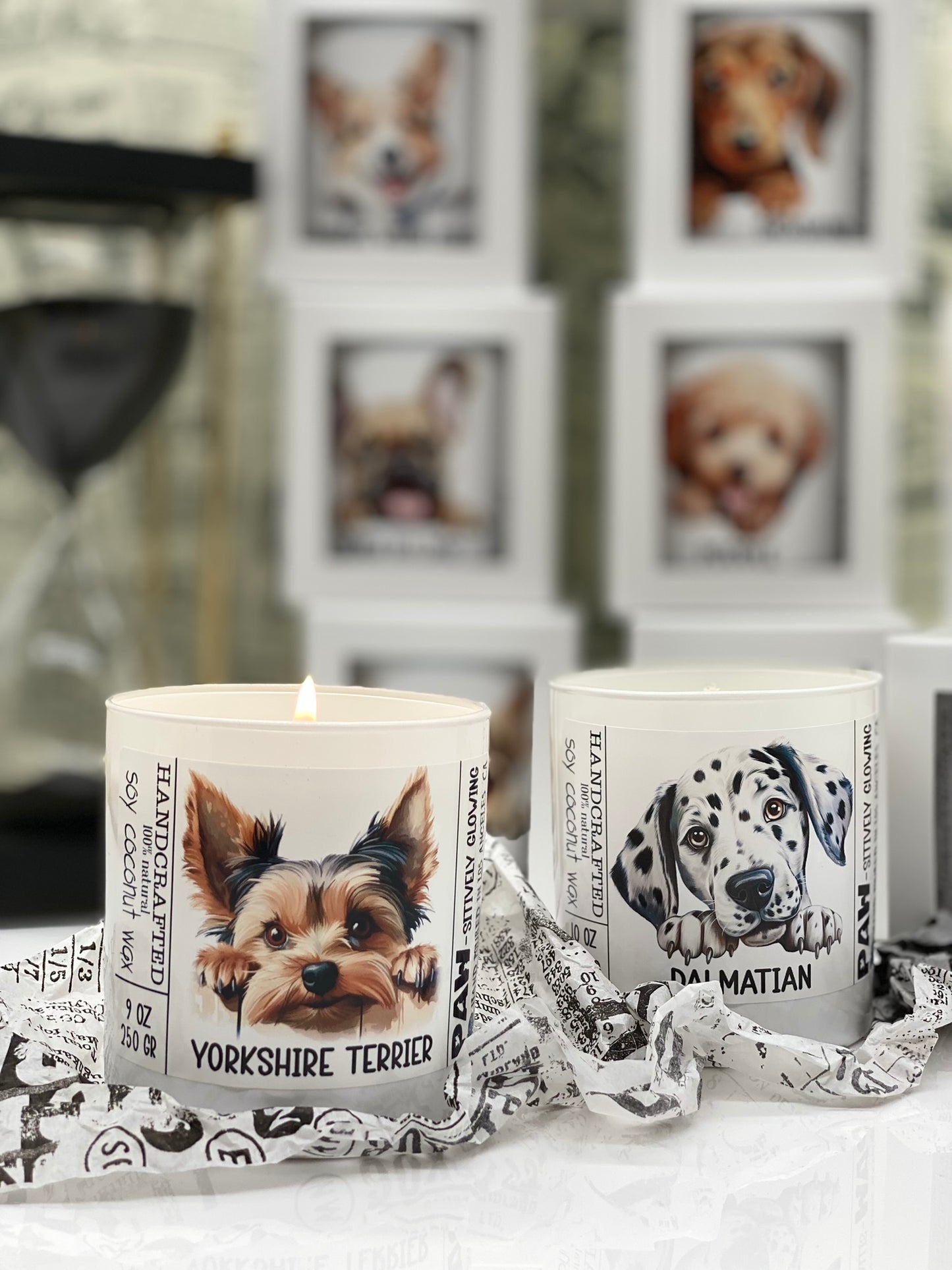 Edition #2, Candle, Coconut Soy wax candle, Funny Dogs, Dogs Lover, I love my Dog, Pets, Dogs Breeds, Paw-sitively Glowing, 11 breeds